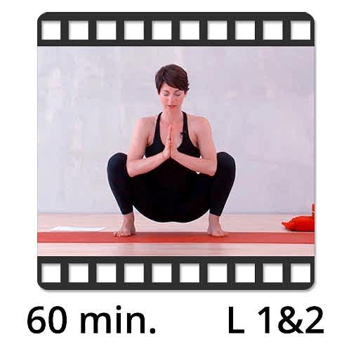Yoga Video kaufen Download