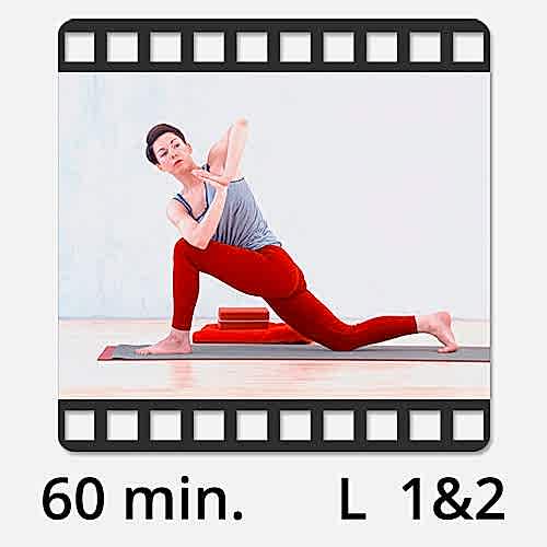 Yoga Video online Detox Flow