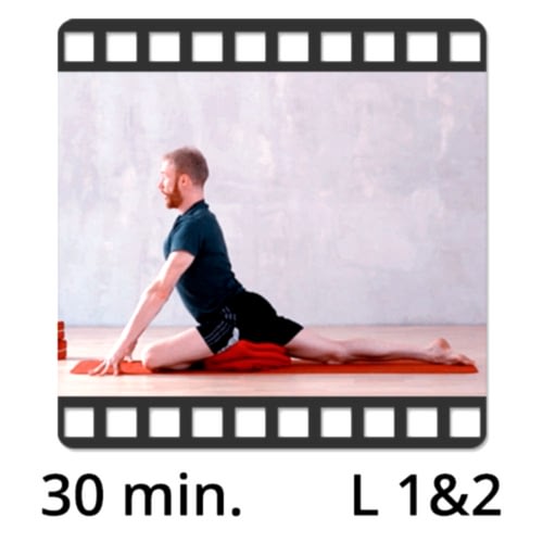 Yoga Video kaufen Download
