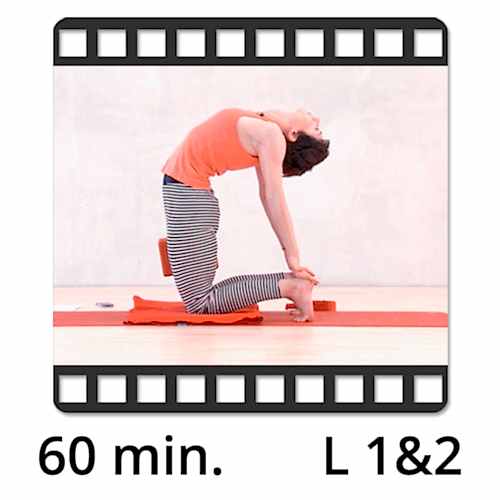 Yoga Video kaufen Download