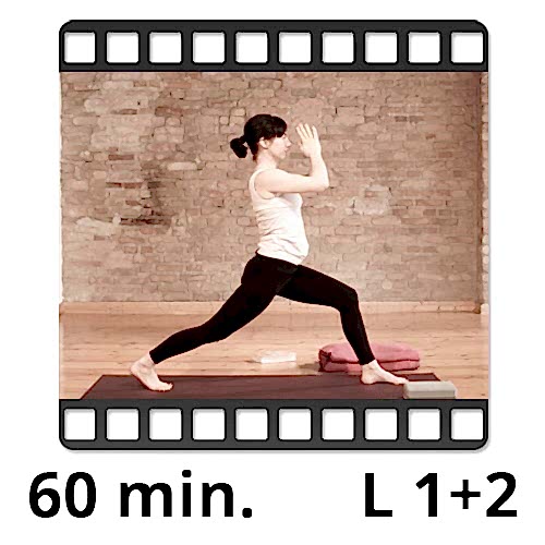 yoga video sandra winkens yogafürdich