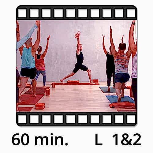 Yoga Video kaufen Fokus stehende Haltungen