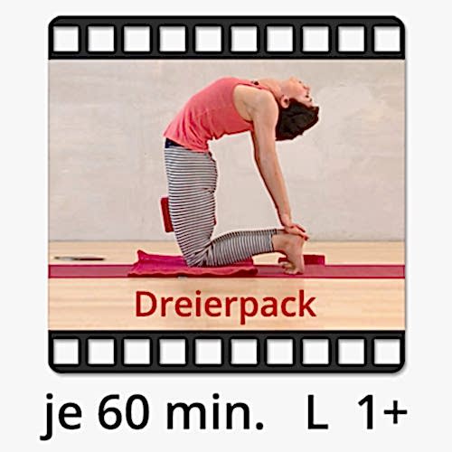 Yoga Video download
