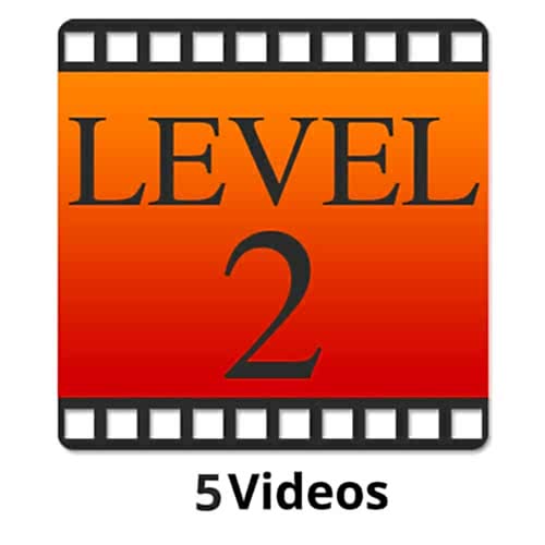 Level 2 Yoga Videos yogafürdich