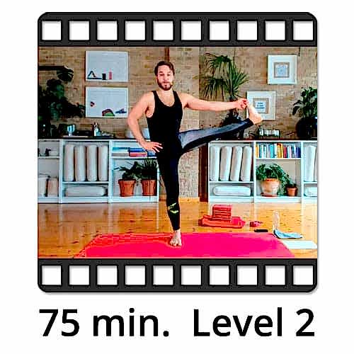 Download Yoga Video Power Vinyasa Flow Level 2 Mate Granic