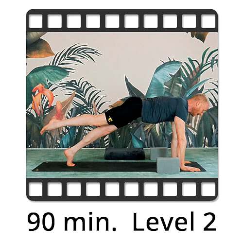 Download Yoga Video Power Vinyasa Flow Level 2 Victor Thiele