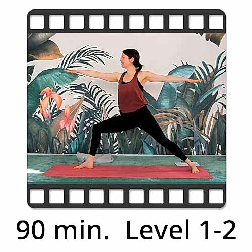 Download Yoga Video Power Vinyasa Flow Level 1-2 Katharina Knoll