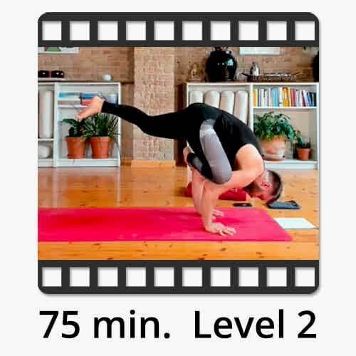 Download Yoga Video Power Vinyasa Flow Level 2 Mate Granic