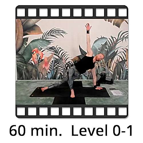 Download Yoga Video Power Vinyasa Flow Level 0-1 Victor Thiele