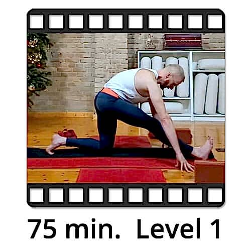 Download Yoga Video Power Vinyasa Flow Level 2 Victor Thiele