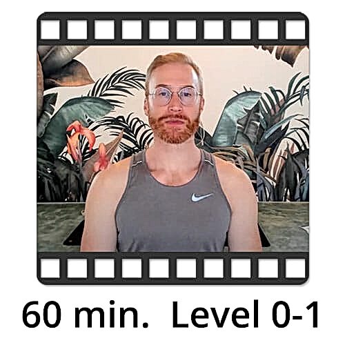 Download Yoga Video Power Vinyasa Flow Level 0-1 Victor Thiele
