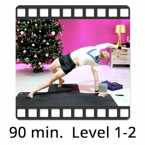 Download Yoga Video Power Vinyasa Flow Level 1-2 Victor Thiele