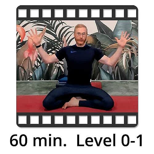 Download Yoga Video Power Vinyasa Flow Level 0-1 Victor Thiele