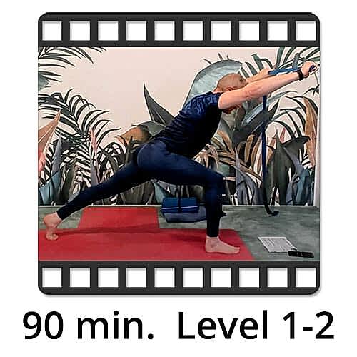 Download Yoga Video Power Vinyasa Flow Level 0-1 Victor Thiele
