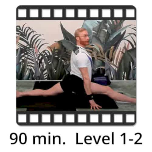 Download Yoga Video Power Vinyasa Flow Level 1-2 Victor Thiele