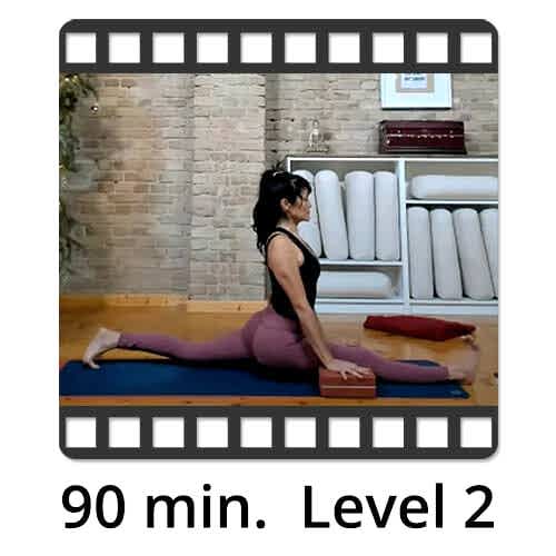 Download Yoga Video Power Vinyasa Flow Level 1-2 Lina Alonso