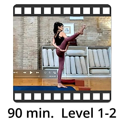 Download Yoga Video Power Vinyasa Flow Level 1-2 Lina Alonso