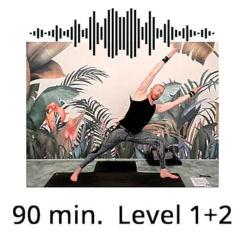 Download Yoga Audio Power Vinyasa Flow Level 1-2 Victor Thiele