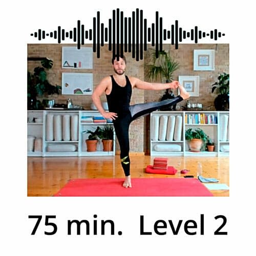 Download Yoga MP3 Power Vinyasa Flow Level 2 Mate Granic