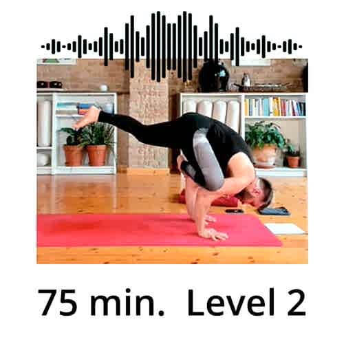 Download Yoga Audio Power Vinyasa Flow Level 2 Mate Granic