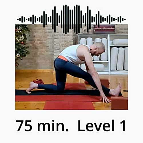Download Yoga Audio Power Vinyasa Flow Level 1 Victor Thiele