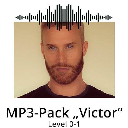 Download Yoga MP3 Power Vinyasa Flow Victor Thiele