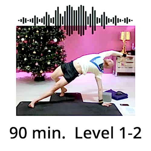 Download Yoga Audio Power Vinyasa Flow Level 1-2 Victor Thiele