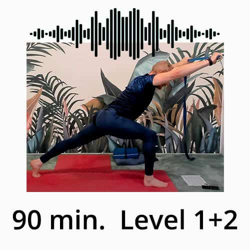 Download Yoga Audio Power Vinyasa Flow Level 1-2 Victor Thiele