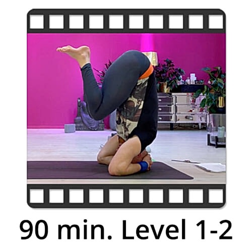 Download Yoga Video Power Vinyasa Flow Victor Thiele