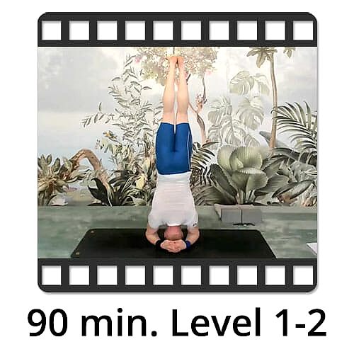 Download Yoga Video Power Vinyasa Flow Victor Thiele