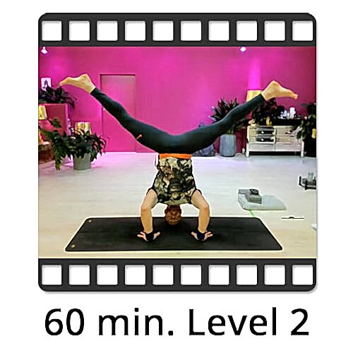 Download Yoga Video Power Vinyasa Flow Victor Thiele